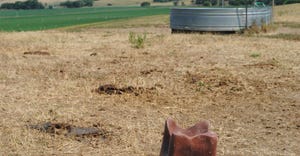 Drought stricken rangeland