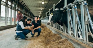 Joe McFadden crouching and inspecting feed with other people