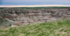 Prairie grass at the edge of a canyon