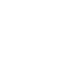 Bulb icon